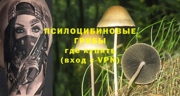 соль ск Арсеньев