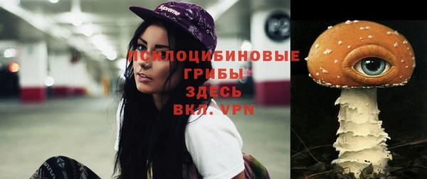 соль ск Арсеньев