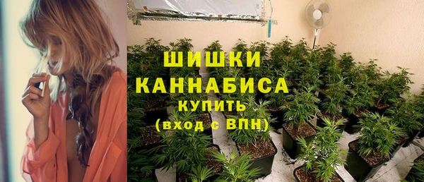 соль ск Арсеньев