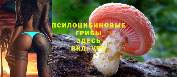соль ск Арсеньев