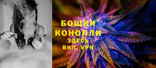 соль ск Арсеньев
